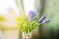 Blurred Lavender Flower Crochet