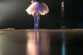 Blurred legs of ballet dancer on stage in theater