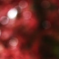 Blurred light for abstract background Royalty Free Stock Photo