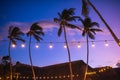 blurred light bokeh with coconut palm tree background on sunset Royalty Free Stock Photo