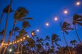 blurred light bokeh with coconut palm tree background on sunset Royalty Free Stock Photo