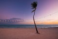 blurred light bokeh with coconut palm tree background on sunset Royalty Free Stock Photo