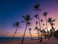 blurred light bokeh with coconut palm tree background on sunset Royalty Free Stock Photo