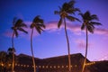 blurred light bokeh with coconut palm tree background on sunset Royalty Free Stock Photo