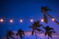 blurred light bokeh with coconut palm tree background on sunset Royalty Free Stock Photo