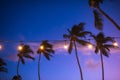 blurred light bokeh with coconut palm tree background on sunset Royalty Free Stock Photo