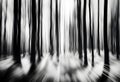 blurred monochrome abstract painting of tall bare winter forest trees