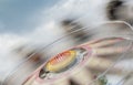 Blurred motion carousel Royalty Free Stock Photo