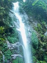 Blurred Motion of Majestic Waterfall in a Lush Rainforest Royalty Free Stock Photo