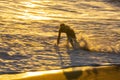 Blurred in motion running surfer enters water at Castlecliff beach Wanganui