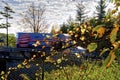 Blurred motion of truck on highway bridge over the valley with autumn leaf color Royalty Free Stock Photo