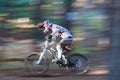 Blurred Mountain Biker