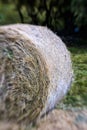 Blurred Mountain Sheaf. Lensbaby Shot Royalty Free Stock Photo