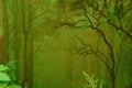 blurred mysterious jungle landscape, trunks deciduous rainforest, tropical trees, mystical background for designer