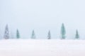 Blurred natural Landscape tree of snow background for Merry Christmas and Happy New Year Royalty Free Stock Photo