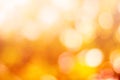 Blurred nature background.Backdrop with color and bright sun. Royalty Free Stock Photo