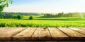Blurred nature background with green meadow blue sky sunny day with empty plank wood table in the forefront for product placement Royalty Free Stock Photo