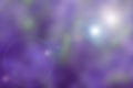 Blurred nature background with purple tone