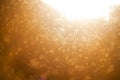 Blurred nature background. Small midges fly in the rays of light. Insects swarm in the rays of the setting sun. Mosquitoes. Royalty Free Stock Photo