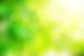 Abstract green bokeh light winter background color blur