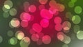 Blurred ornamental plant background and abstract circle bokeh. Royalty Free Stock Photo