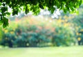 Blurred park with bokeh light background, spring and summer se