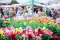 Blurred people buying at the flower market.Spring, summer market.Blurred background Royalty Free Stock Photo