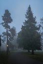 Blurred people in the fog, on road surrounded by trees and illuminated by street lamps, Dublin