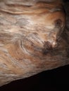 blurred photo of abstract wood grain texture Royalty Free Stock Photo