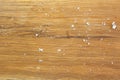 Blurred photo of bread crumbs on a cutting wooden board Royalty Free Stock Photo