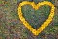 Blurred photo,Heart shaped symbols made of yellow flowers arranged on the green lawn look beautiful Royalty Free Stock Photo