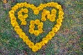 Blurred photo,Heart shaped symbols made of yellow flowers arranged on the green lawn look beautiful. The heart symbol represents t Royalty Free Stock Photo