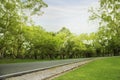 Blurred photo Park walkways with green trees with morning sun