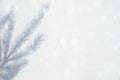 blurred photo of a shadow from a christmas tree branch on a white gray background of a wall or table. falling snow. Royalty Free Stock Photo