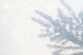 blurred photo of a shadow from a christmas tree branch on a white gray background of a wall or table. falling snow. Royalty Free Stock Photo