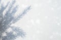 blurred photo of a shadow from a christmas tree branch on a white gray background of a wall or table. falling snow. Royalty Free Stock Photo