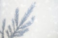 blurred photo of a shadow from a christmas tree branch on a white gray background of a wall or table. falling snow. Royalty Free Stock Photo