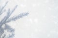 Blurred photo of a shadow from a christmas tree branch on a white gray background of a wall or table. falling snow. Royalty Free Stock Photo