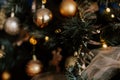 Blurred picture of christmas tree with lights and spruce branch. Defocused new year background with space for text Royalty Free Stock Photo