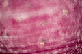 Blurred Pink Textile with Strasses
