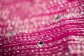 Blurred Pink Textile with Strasses