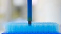 Blurred pipette tips in box Royalty Free Stock Photo