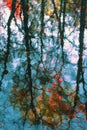 Blurred reflection of colored autumn trees in the cool blue water. Picturesque colorful leaves, bright autumn colors Royalty Free Stock Photo
