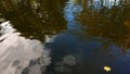 Blurred reflection of park landscape in smooth wavy water surface Royalty Free Stock Photo