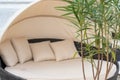 Blurred relaxing brown rattan bed, sofa with beige pillows, sheet and roof on the beach, seashore with a focused tropical plant on Royalty Free Stock Photo