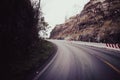 Blurred roads from the car's run into a large forest path