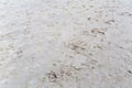 Blurred Sand beach background