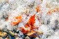 Blurred sea wave over multi colored pebbles and leaf Royalty Free Stock Photo