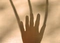 Blurred shadow Human arm in natural light with long lines shadows, toned. Help gesture or  request for help concept Royalty Free Stock Photo