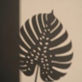 A blurred shadow of a Monstera leaf (Monstera deliciosa) on a beige wall. The leaf\'s distinctive Royalty Free Stock Photo